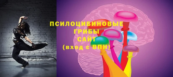 мдпв Абинск