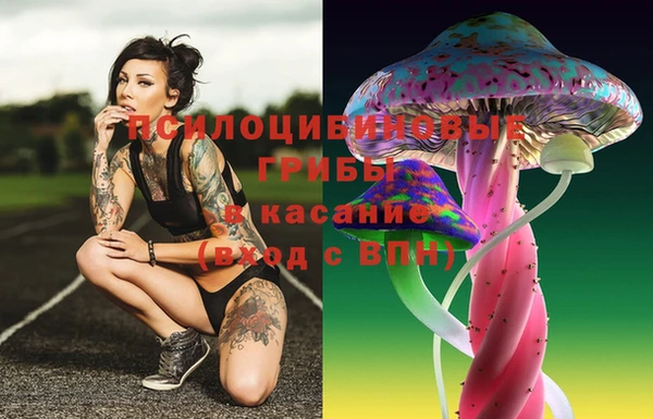 кокс Абдулино